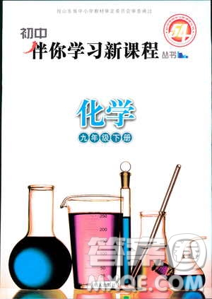 五四制2019年初中伴你學(xué)習(xí)新課程叢書(shū)九年級(jí)下冊(cè)化學(xué)魯教版參考答案