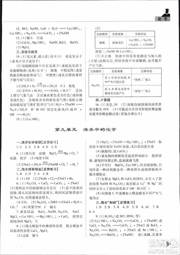 五四制2019年初中伴你學(xué)習(xí)新課程叢書(shū)九年級(jí)下冊(cè)化學(xué)魯教版參考答案