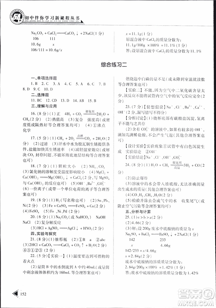 五四制2019年初中伴你學(xué)習(xí)新課程叢書(shū)九年級(jí)下冊(cè)化學(xué)魯教版參考答案