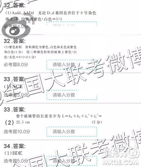 2019年全國(guó)普通高中高三二月大聯(lián)考理綜參考答案