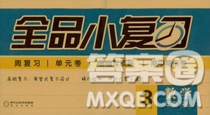 2019春全品小復(fù)習(xí)小學(xué)數(shù)學(xué)三年級下冊人教版RJ參考答案