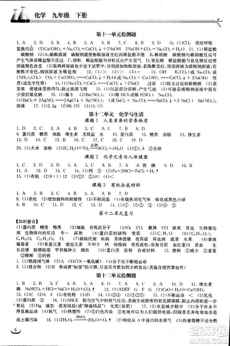 2019年長江作業(yè)本初中九年級下冊化學(xué)同步練習(xí)冊人教版參考答案