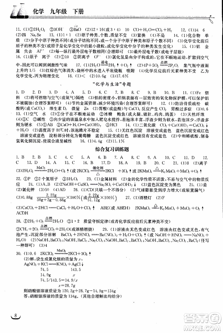 2019年長江作業(yè)本初中九年級下冊化學(xué)同步練習(xí)冊人教版參考答案