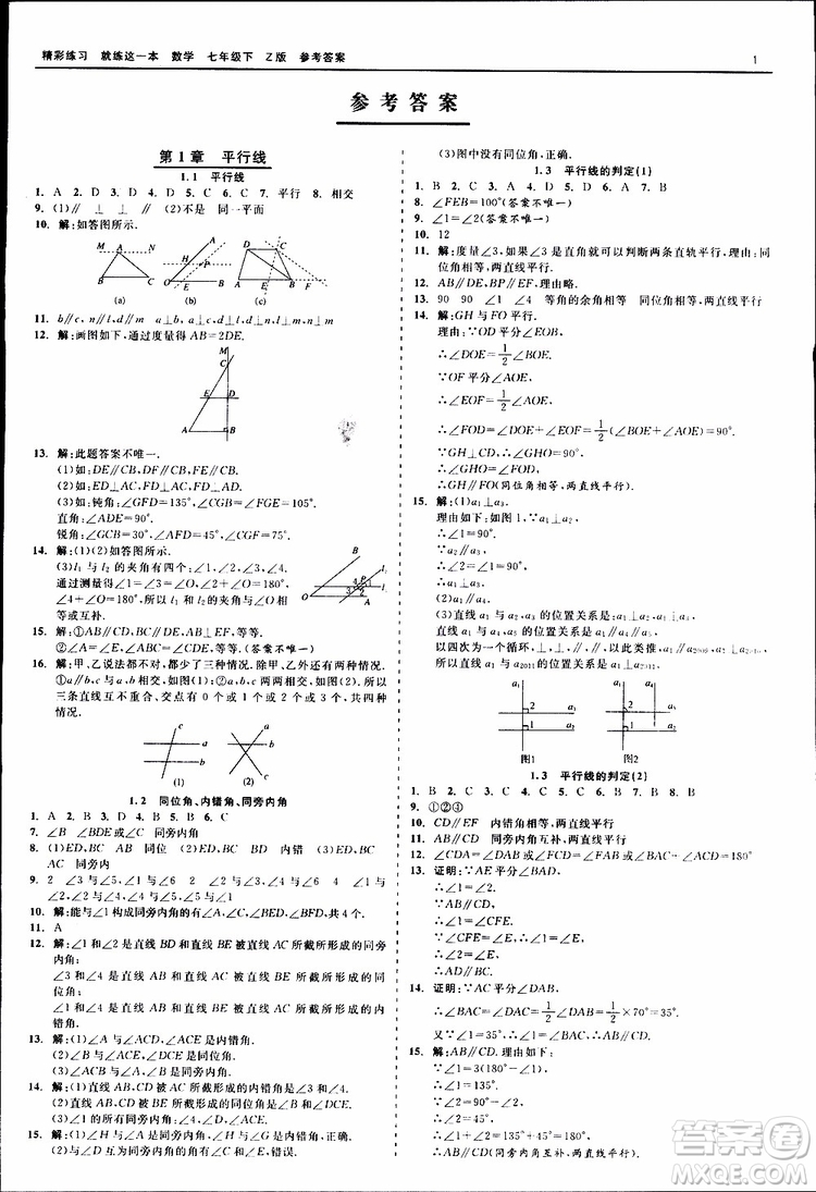 2019年精彩練習就練這一本七年級下冊數學浙教版Z版參考答案