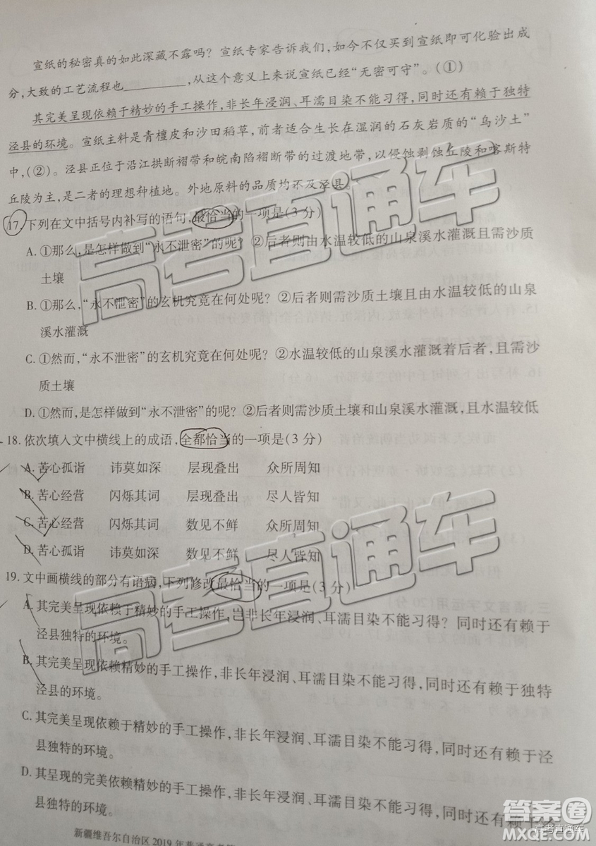 2019年高三新疆維吾爾自治區(qū)第一次適應性檢測語文試題及參考答案