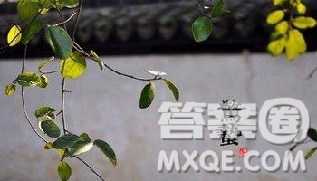 2019關(guān)于驚蟄的詩(shī)句最新 2019驚蟄相關(guān)詩(shī)詞素材