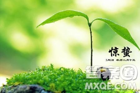 2019關(guān)于驚蟄的詩(shī)句最新 2019驚蟄相關(guān)詩(shī)詞素材