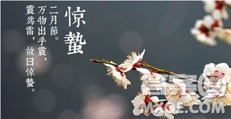 2019關(guān)于驚蟄的詩(shī)句最新 2019驚蟄相關(guān)詩(shī)詞素材