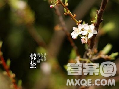 2019關(guān)于驚蟄的詩(shī)句最新 2019驚蟄相關(guān)詩(shī)詞素材