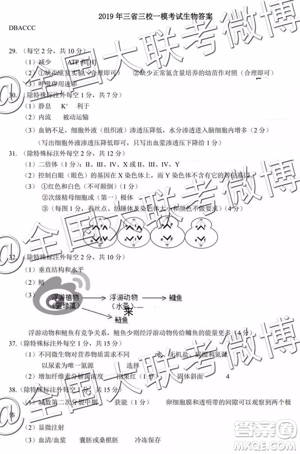 2019年東北三省三校高三一?？荚?yán)砜凭C合答案