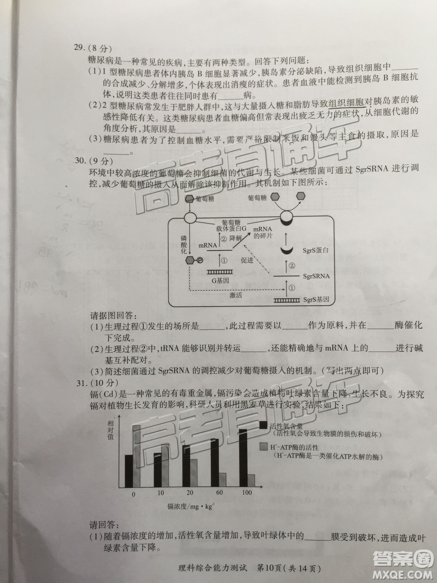 2019年高三廈門一檢文理綜參考答案