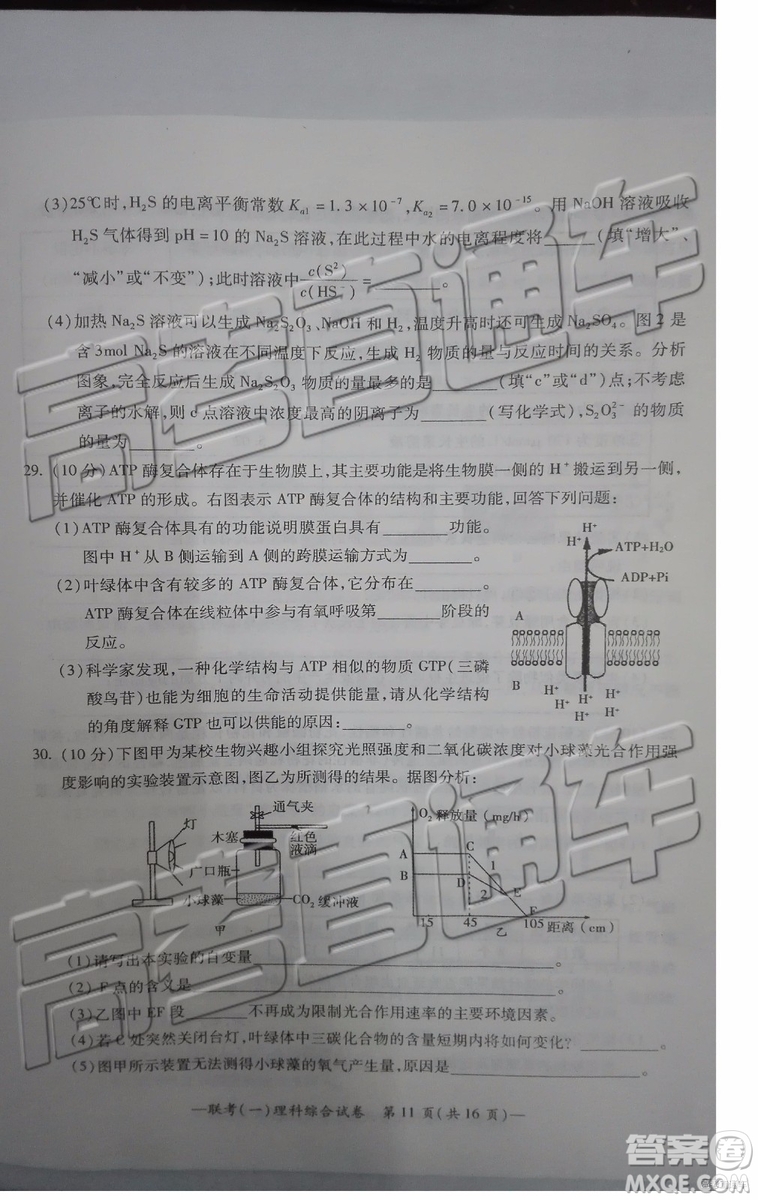 2019衡陽一模文科理科綜合試題及答案解析