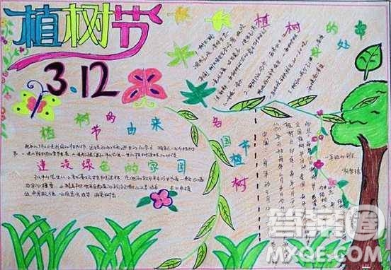 2019植樹(shù)節(jié)的手抄報(bào)圖片 植樹(shù)節(jié)手抄報(bào)簡(jiǎn)單圖片整理