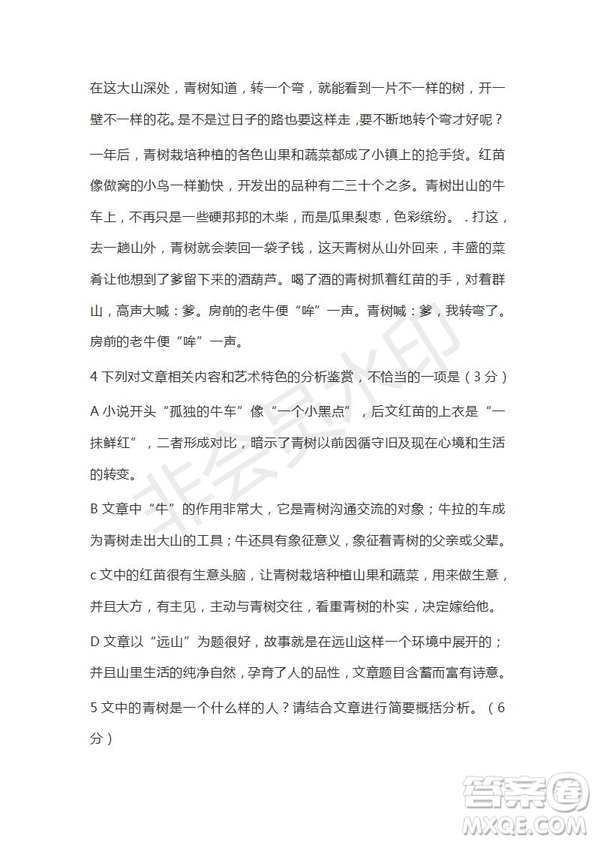 河北省衡水市第十三中學(xué)2019屆高三質(zhì)檢四語(yǔ)文試題及答案解析