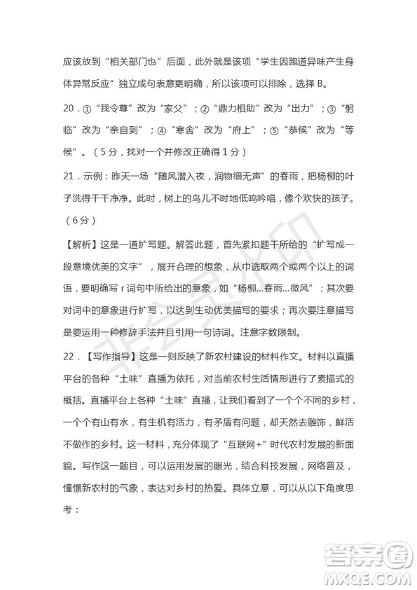 河北省衡水市第十三中學(xué)2019屆高三質(zhì)檢四語(yǔ)文試題及答案解析