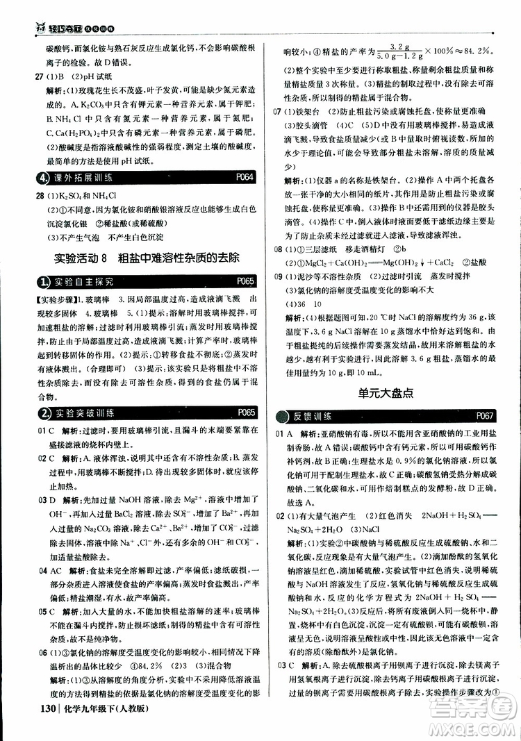 2019年1+1輕巧奪冠優(yōu)化訓練九年級下冊化學人教版參考答案