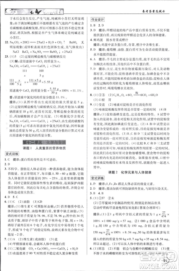 2019春新世紀(jì)英才教程人教版中學(xué)奇跡課堂九年級化學(xué)下冊答案