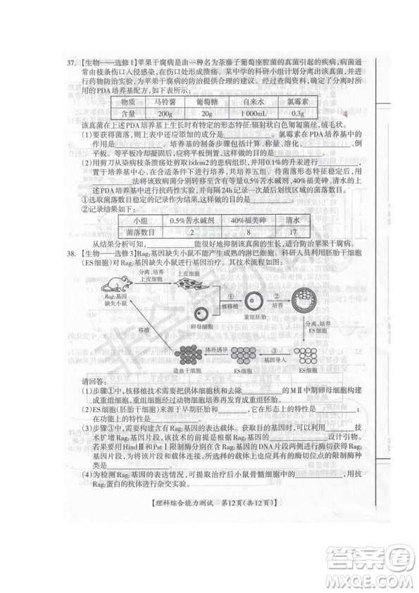 2019屆廣西省桂林市賀州市崇左市高三下學期3月聯合調研考試文綜理綜試卷及答案