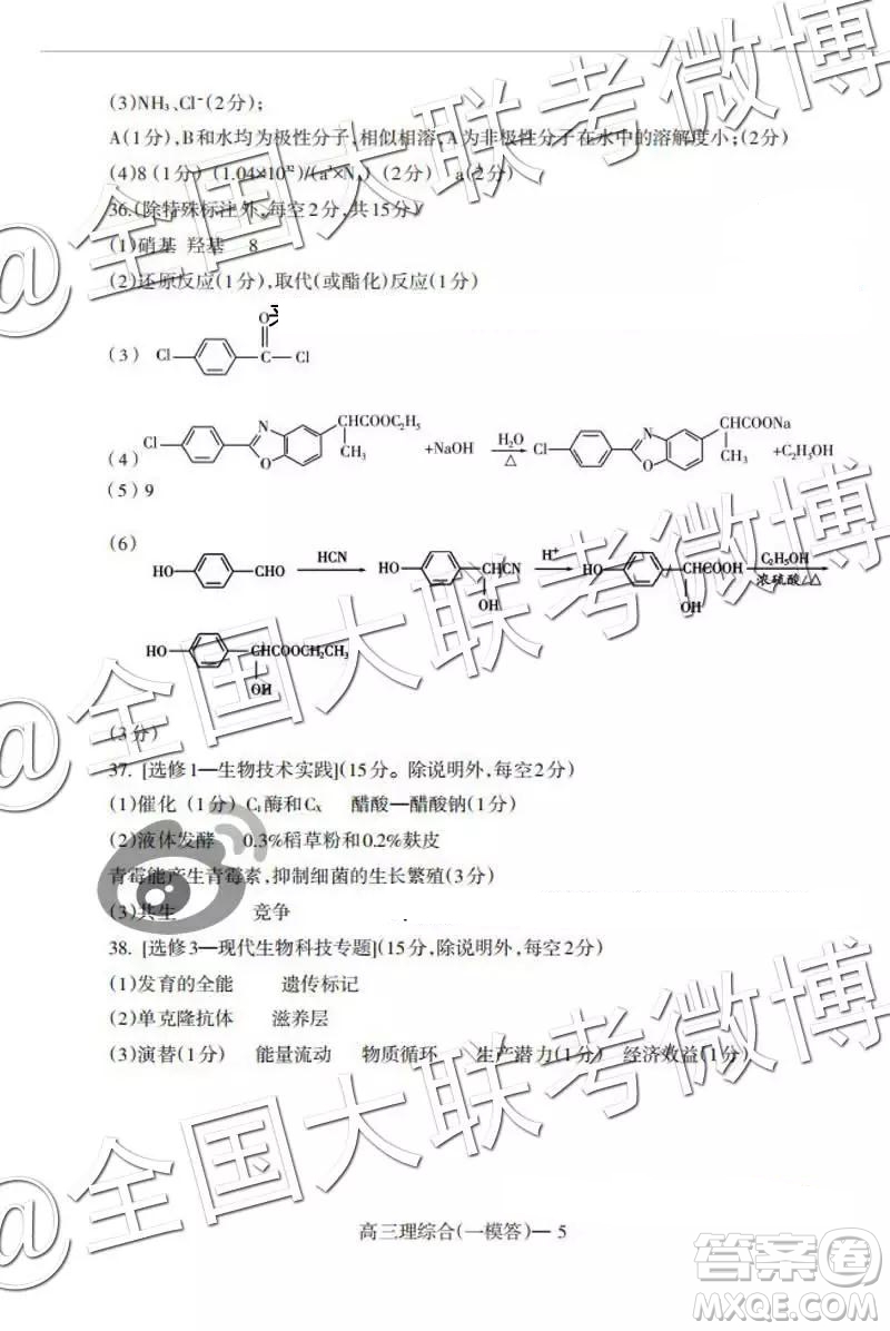 遼南協(xié)作體2019屆高三下學(xué)期第一次模擬考試文綜理綜答案解析