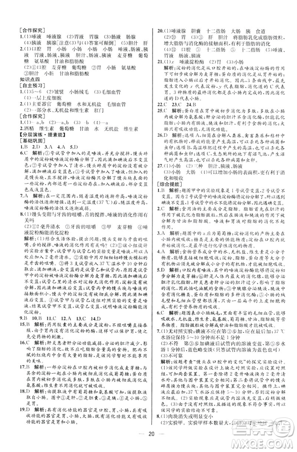 2019人教版七年級下冊生物學(xué)課時(shí)練同步學(xué)歷案河北專版參考答案