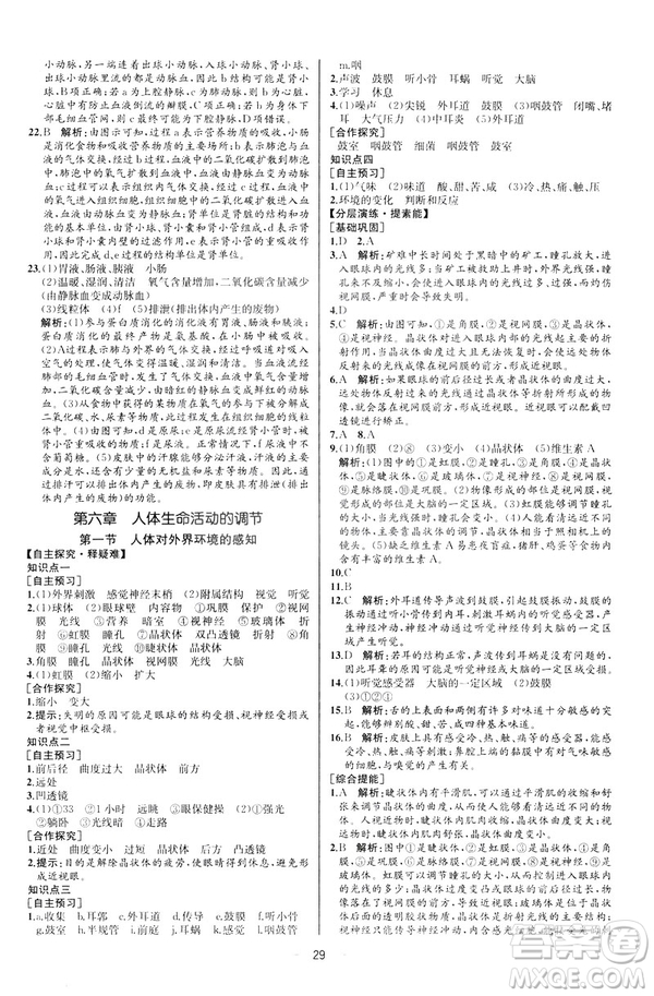 2019人教版七年級下冊生物學(xué)課時(shí)練同步學(xué)歷案河北專版參考答案