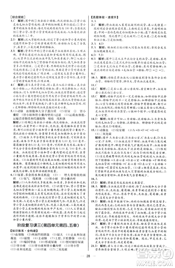 2019人教版七年級下冊生物學(xué)課時(shí)練同步學(xué)歷案河北專版參考答案