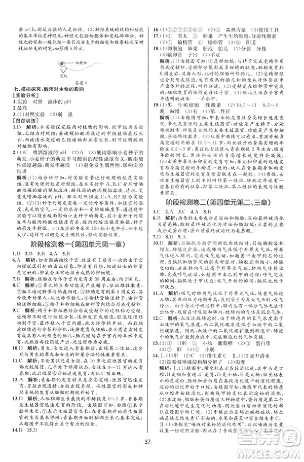 2019人教版七年級下冊生物學(xué)課時(shí)練同步學(xué)歷案河北專版參考答案