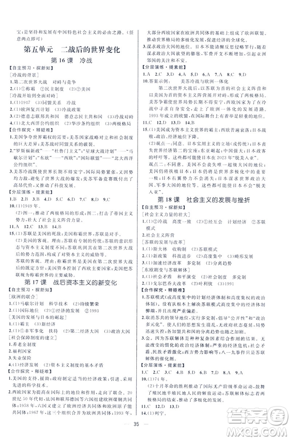 2019人教版課時(shí)練九年級(jí)下冊(cè)世界歷史同步學(xué)歷案答案