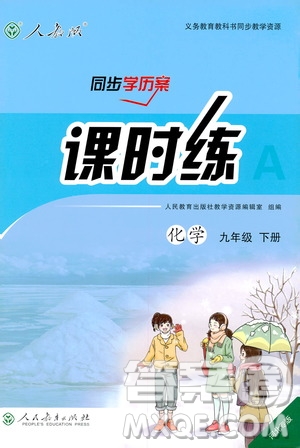 2019人教版初中九年級(jí)下冊(cè)化學(xué)課時(shí)練同步學(xué)歷案河北專版答案