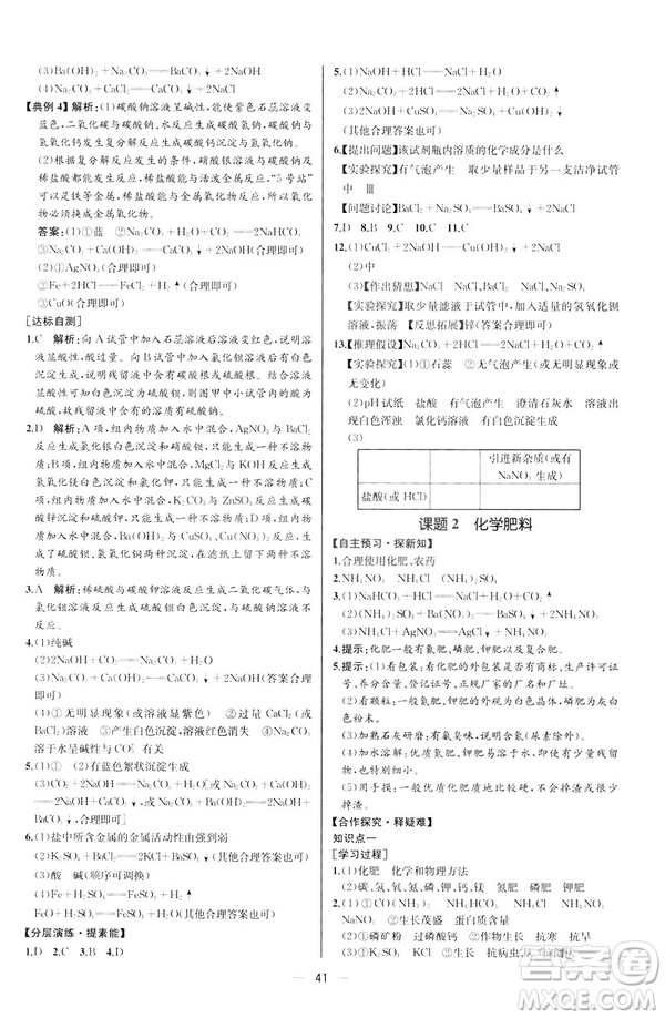 2019人教版初中九年級(jí)下冊(cè)化學(xué)課時(shí)練同步學(xué)歷案河北專版答案