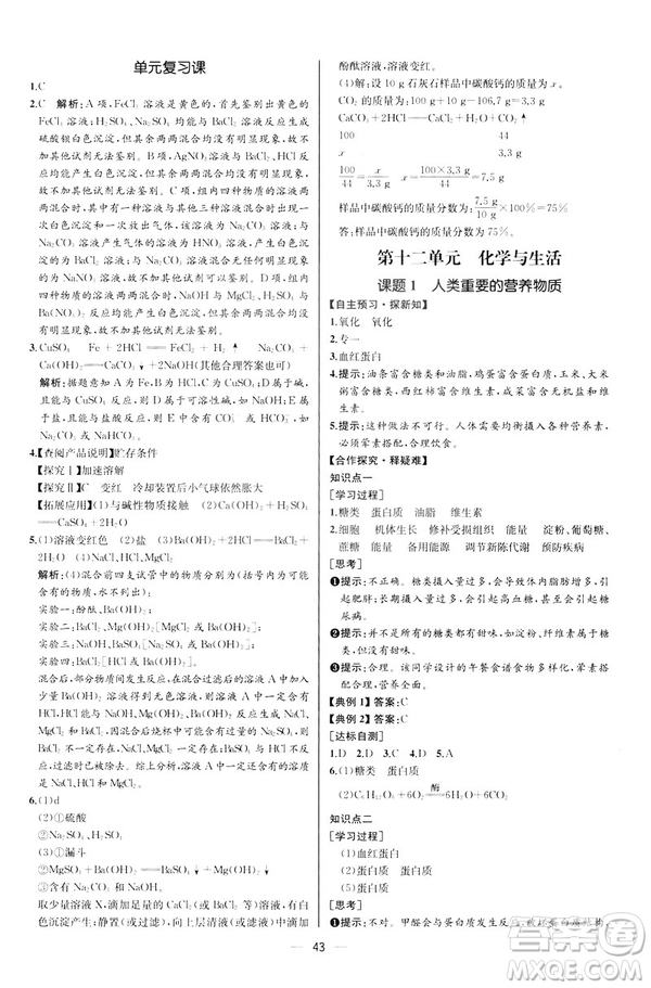 2019人教版初中九年級(jí)下冊(cè)化學(xué)課時(shí)練同步學(xué)歷案河北專版答案