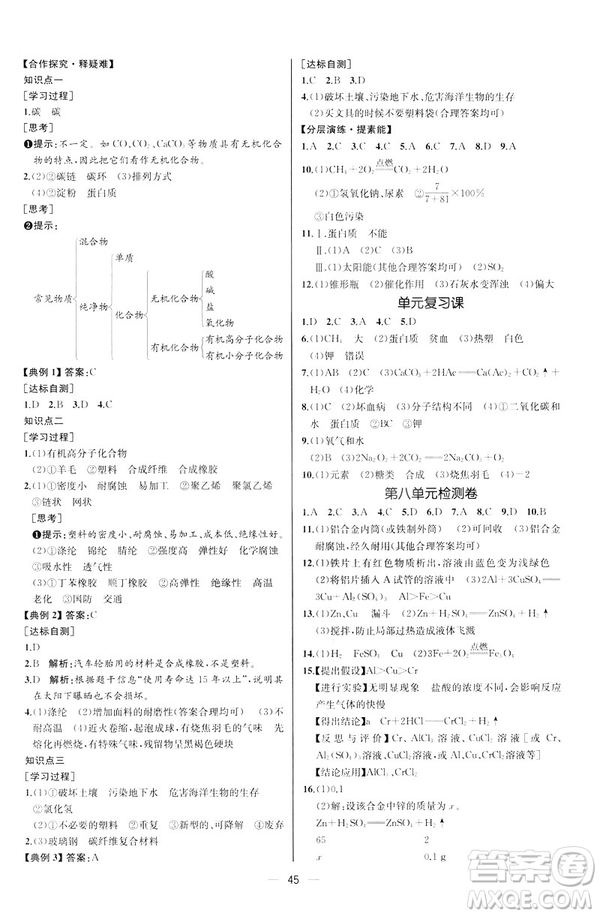 2019人教版初中九年級(jí)下冊(cè)化學(xué)課時(shí)練同步學(xué)歷案河北專版答案