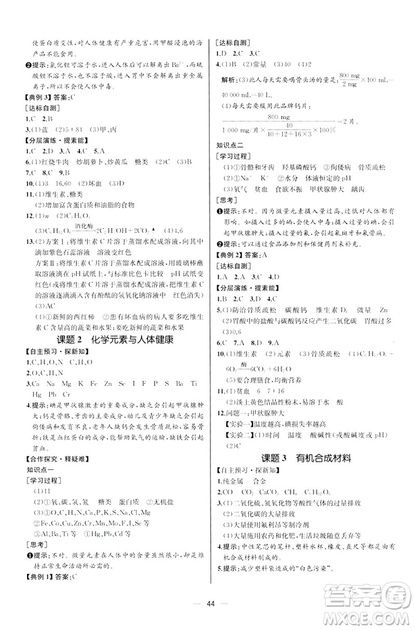 2019人教版初中九年級(jí)下冊(cè)化學(xué)課時(shí)練同步學(xué)歷案河北專版答案