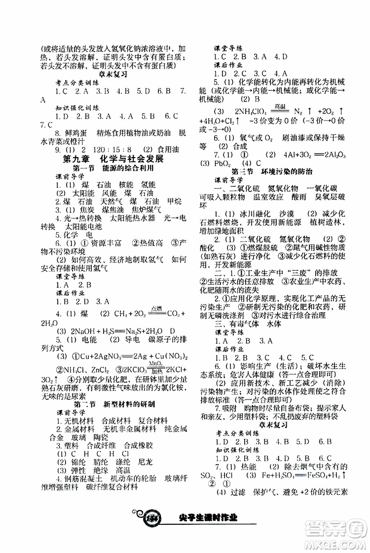 2019年尖子生新課堂課時(shí)作業(yè)化學(xué)九年級(jí)下冊(cè)HJ版滬教版參考答案