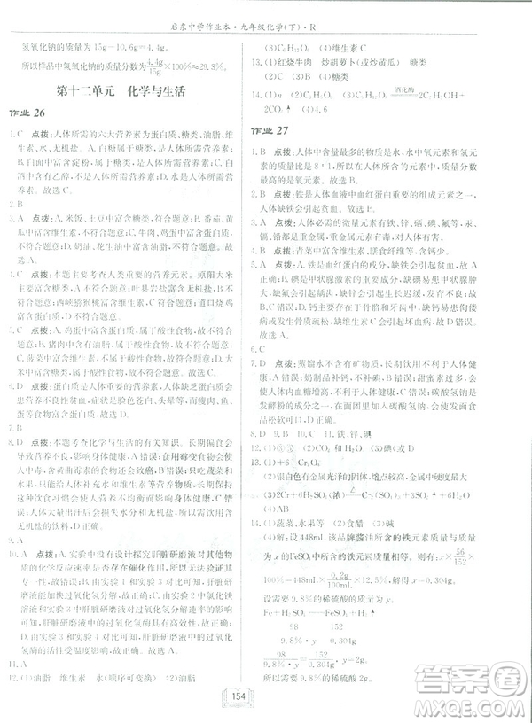 2019新版啟東中學作業(yè)本九年級化學下R人教版答案