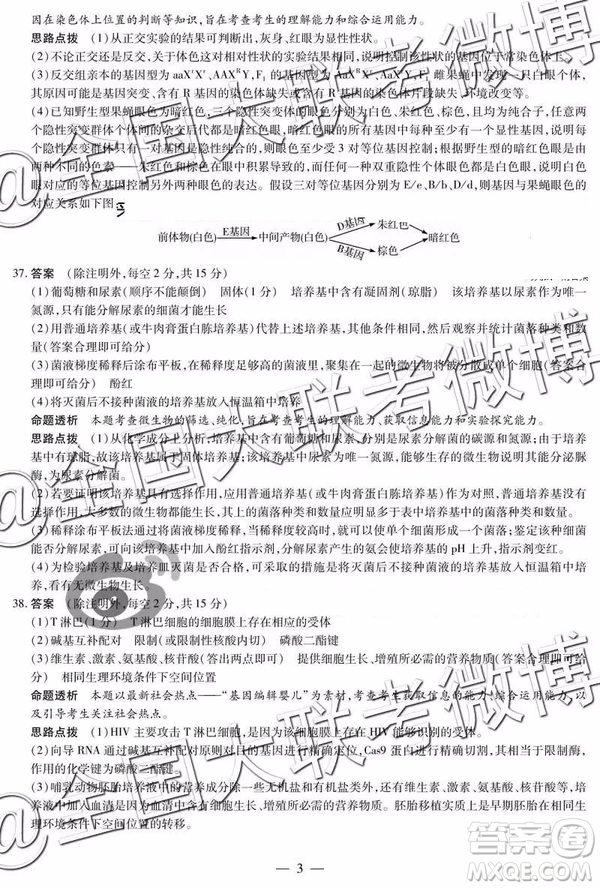 2019年安陽二模文綜理綜答案解析