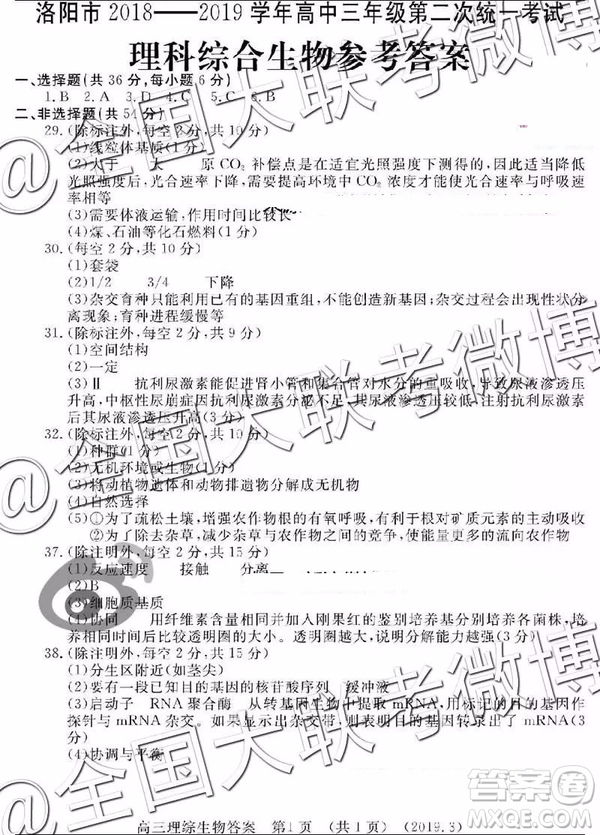 2019年洛陽二練文綜理綜答案解析