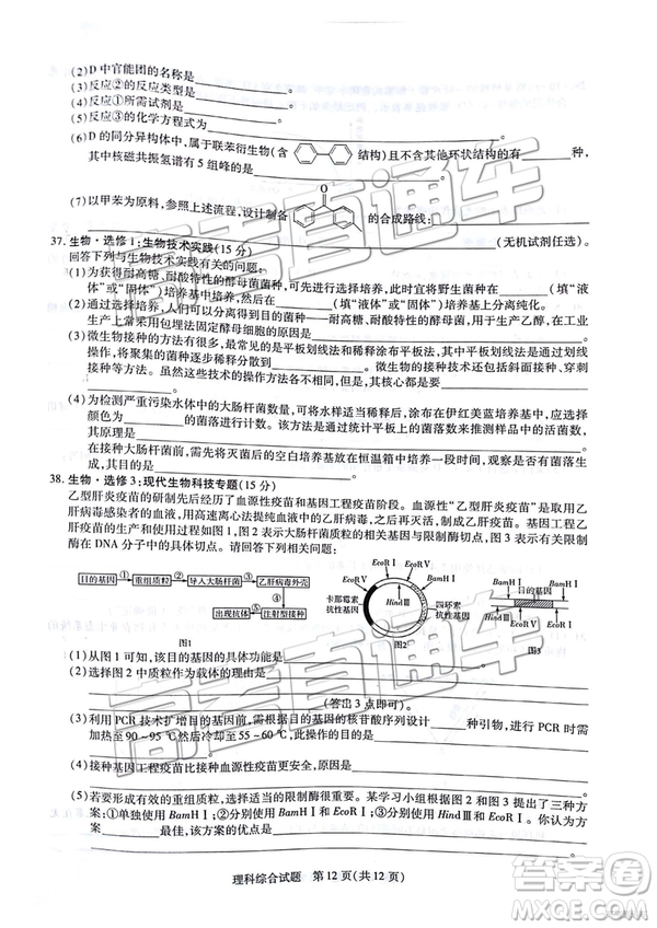 2019年安徽皖北協(xié)作區(qū)高三聯(lián)考理綜試題及參考答案