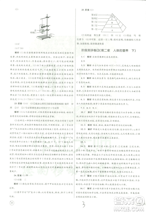 優(yōu)化設(shè)計(jì)單元測(cè)試卷2019年七年級(jí)下冊(cè)生物RJ人教版參考答案