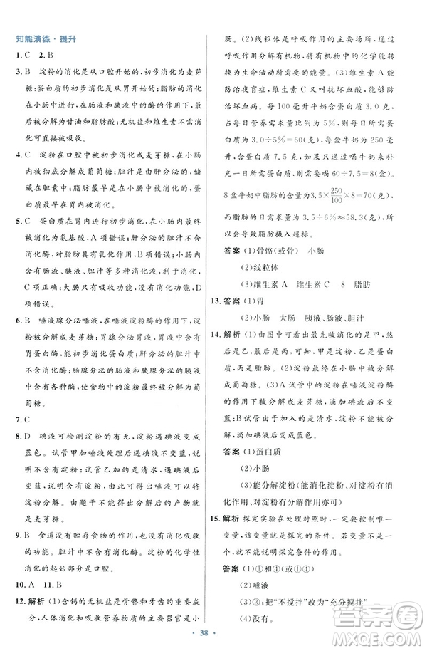2019年初中同步測控優(yōu)化設計七年級下冊人教版中國歷史答案