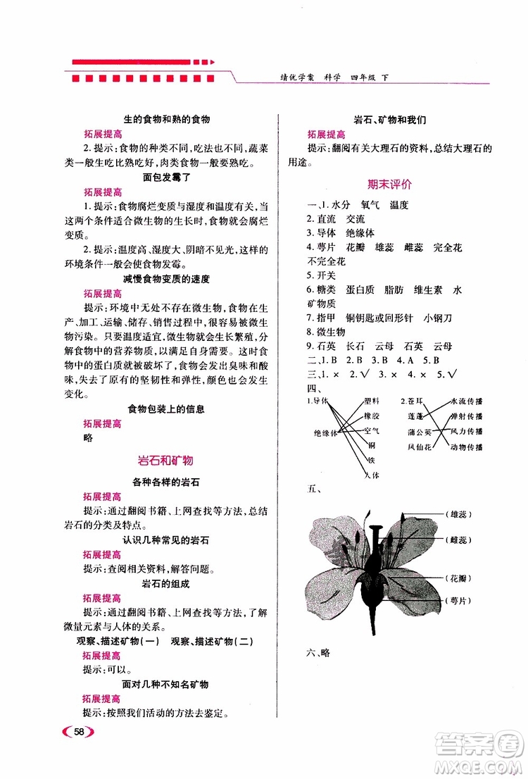 2019年績(jī)優(yōu)學(xué)案科學(xué)四年級(jí)下教科版參考答案