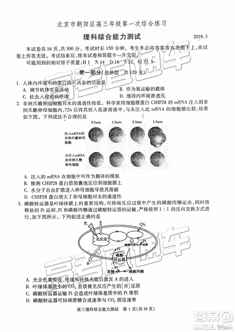 2019年北京朝陽(yáng)區(qū)一模理科綜合試題及參考答案