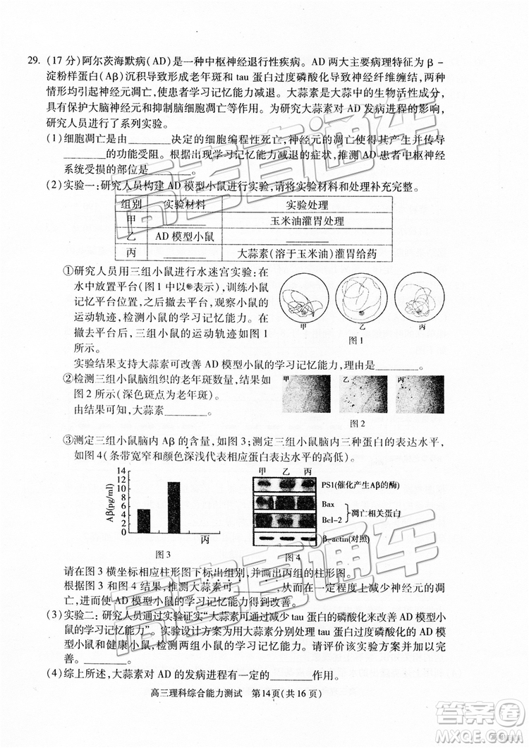 2019年北京朝陽(yáng)區(qū)一模理科綜合試題及參考答案