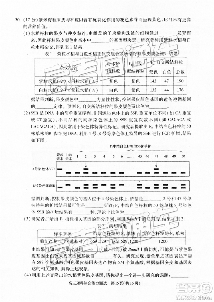 2019年北京朝陽(yáng)區(qū)一模理科綜合試題及參考答案