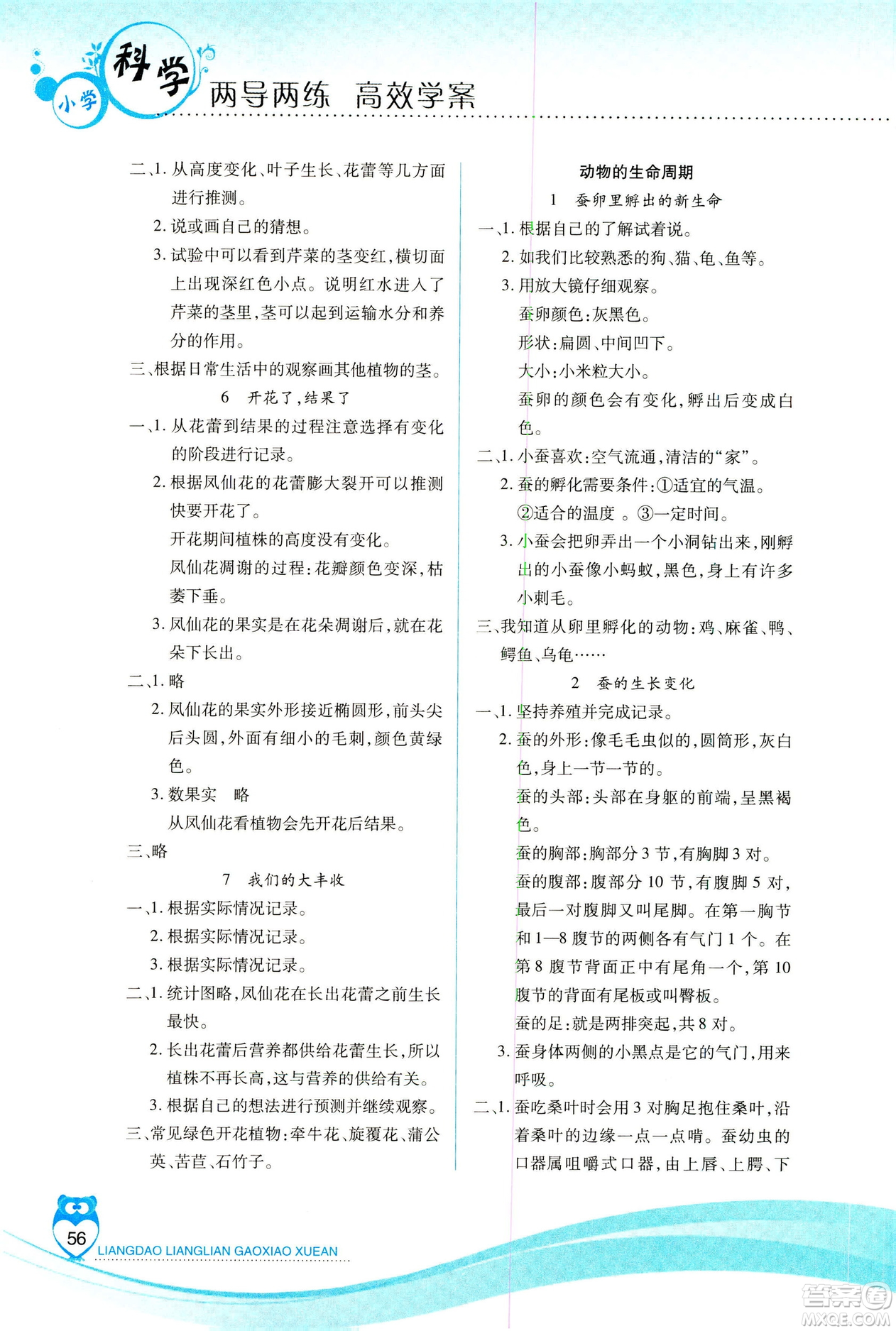 教科版2019年新課標(biāo)兩導(dǎo)兩練高效學(xué)案科學(xué)三年級(jí)下冊參考答案