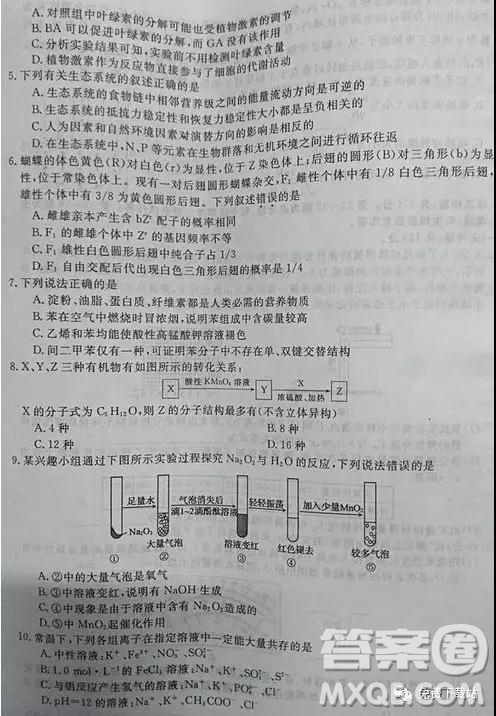 2019年全國百所名校高考模擬調(diào)研卷六理綜參考答案