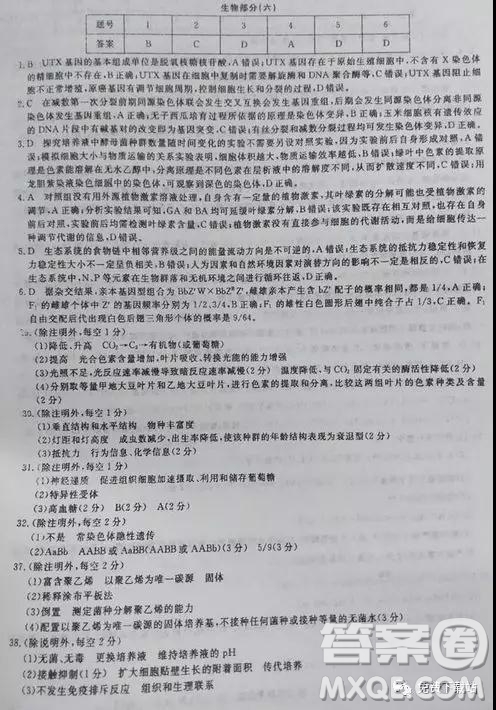 2019年全國百所名校高考模擬調(diào)研卷六理綜參考答案