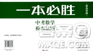 2019年一本必勝中考數(shù)學(xué)模擬試題銀版青島專版9787543608474參考答案