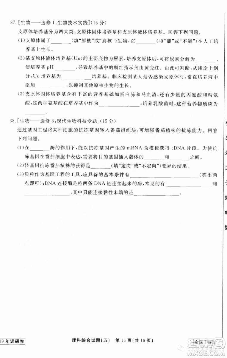 衡中同卷2019年普通高等學校招生全國統(tǒng)一考試模擬試題五理科綜合試題及答案