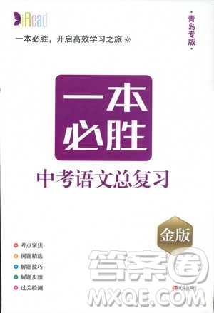 2019年一本必勝中考語(yǔ)文總復(fù)習(xí)金版青島專版參考答案